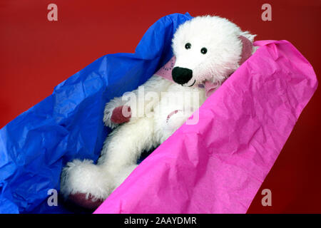 Ein Teddybär Geschenkbox Stockfoto