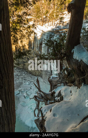 Gray Sauble Conservation Area Niagara Escarpment Bruce Peninsula Owen Sound Ontario Kanada im Winter Stockfoto