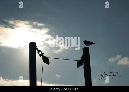 Brooklyn Stockfoto