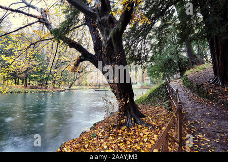 Schön verregneten Morgen Licht im Herbst in den kleinen Teich im Park von Monza, Italien Stockfoto