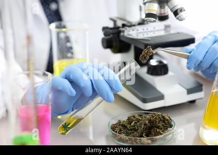 Weibliche Chemiker Hand in blau Schutzhandschuhe Forschung Stockfoto