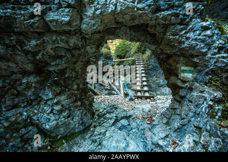 Wanderweg in Sucha Bela Schlucht in Slovensky raj Nationalpark, Slowakei. Stockfoto