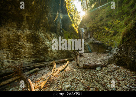 Wanderweg in Sucha Bela Schlucht in Slovensky raj Nationalpark, Slowakei. Stockfoto