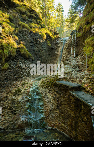 Wanderweg in Sucha Bela Schlucht in Slovensky raj Nationalpark, Slowakei. Stockfoto