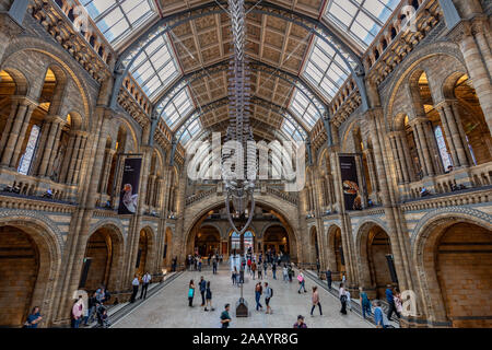 London, England, 16 Sep 2019: Das Natural History Museum ist die Heimat leben und Erde wissenschaft Exemplare und begrüßt jährlich viele Besucher. Stockfoto