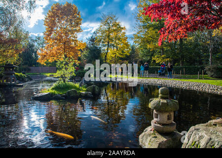 London, England, 10. November 2019. Helle Farben im japanischen Kyoto der Holland Park Garten. Ein Ort der Ruhe in der geschäftigen Stadt von London. Stockfoto