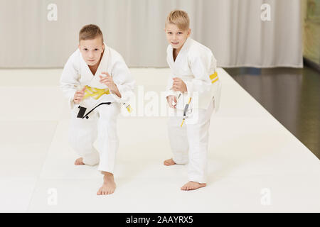 Porträt von zwei Jungen im Kimono auf Kamera und Üben von Karate in der Turnhalle Stockfoto