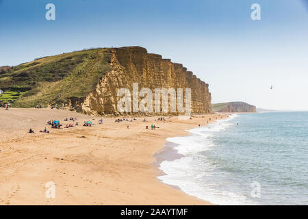 2-in-1-dramatischen Klippen von Bridport Sandstein entlang der West Dorset Jurassic Coast mit Chesil Beach verschwinden in den Hintergrund Stockfoto