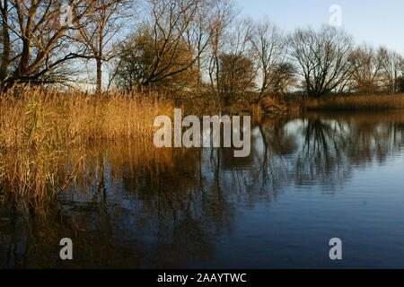 Welton Gewässer, Feuchtgebiete Nature Reserve, East Yorkshire Stockfoto