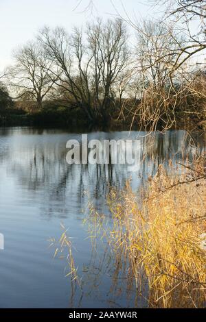 Welton Gewässer, Feuchtgebiete Nature Reserve, East Yorkshire Stockfoto