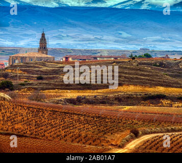 La Rioja die Weinberge im Herbst. Spanien Stockfoto