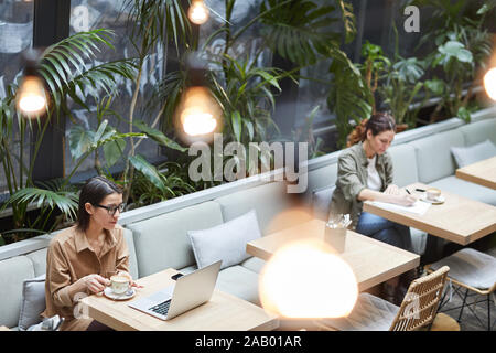 Hohen winkel Portrait von zwei jungen Frauen an getrennten Tischen im Cafe arbeiten bei Terrasse mit Pflanzen dekoriert, kopieren Raum Stockfoto