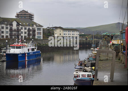 Aberystwyth Wales/UK am 24. November 2019: Umweltagentur marine Umfrage Schiff auch Hüterin" in Aberystwyth Hafen. Stockfoto