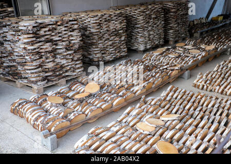 Holzindustrie - Bündel Kreis abgeschnittene Teile der Birken in der Holzindustrie. Stockfoto