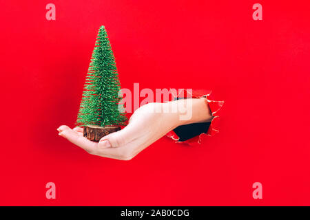 Weibliche Hand, die Miniatur Spielzeug Weihnachten Baum durch ein Loch in der rotes Papier Hintergrund. Stockfoto