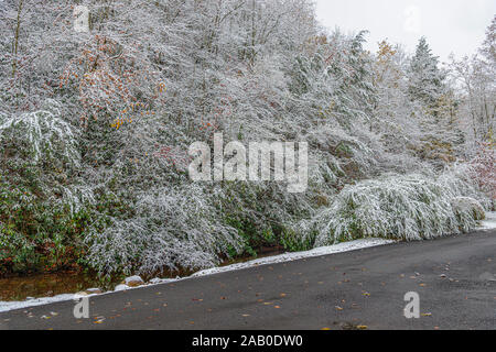 Horizontale Schuß eines Mountain Road vorbei an Eis bedeckte Bäume. Stockfoto