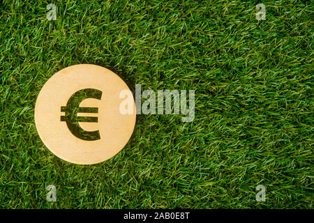 Euro Zeichen von Holz auf Gras Hintergrund isoliert Stockfoto