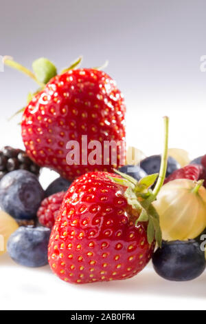 Eine Sammlung von Sommer Beeren, Erdbeeren, Heidelbeeren, Stachelbeeren und Himbeeren. Stockfoto