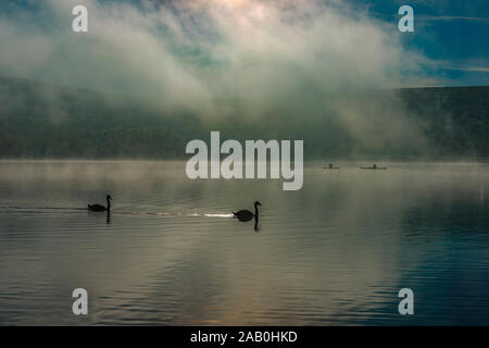 Ein paar Schwäne und Kanuten auf Ullswater Lake bei Nebel. Die englischen Lake District, Cumbria, England, UK. Stockfoto