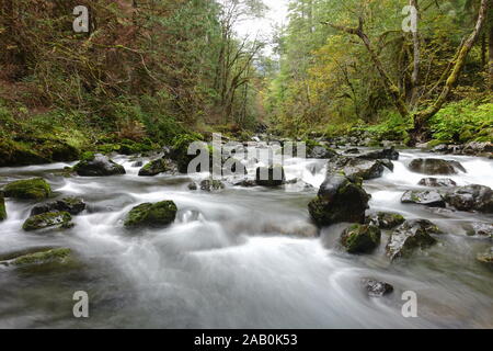 Hamma Hamma River, Washington State Stockfoto