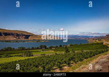 Der Columbia River, wie es vergeht ein Washington Apple Orchard am Anfang der Schlucht mit Mount Hood im Hintergrund auftauchen. Stockfoto