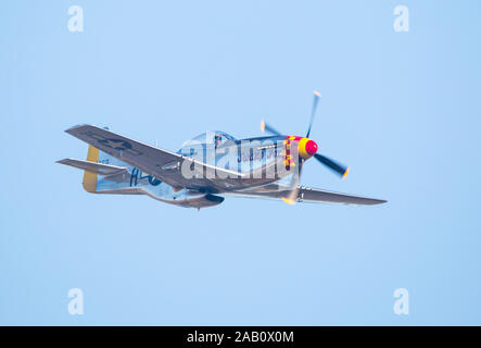 MONROE, NC (USA) - 9 November, 2019: eine P-51 Mustang Jagdflugzeug im Flug bei den Warbirds über Monroe Air Show. Stockfoto