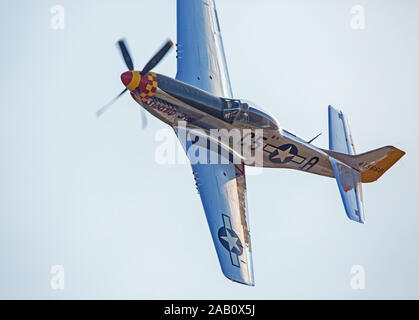 MONROE, NC (USA) - 9 November, 2019: eine P-51 Mustang Jagdflugzeug im Flug bei den Warbirds über Monroe Air Show. Stockfoto