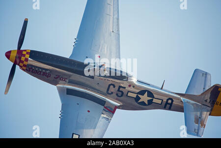 MONROE, NC (USA) - 9 November, 2019: eine P-51 Mustang Jagdflugzeug im Flug bei den Warbirds über Monroe Air Show. Stockfoto