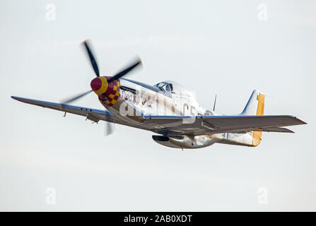 MONROE, NC (USA) - 9 November, 2019: eine P-51 Mustang Jagdflugzeug im Flug bei den Warbirds über Monroe Air Show. Stockfoto