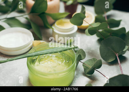 Eine Dose Aloe Gel neben einem Aloe Zweig und Eukalyptus Blätter. Grün Aloe Gel auf einem Hintergrund von natürlichen Inhaltsstoffen. Das Konzept der Hautpflege, Liebe Stockfoto