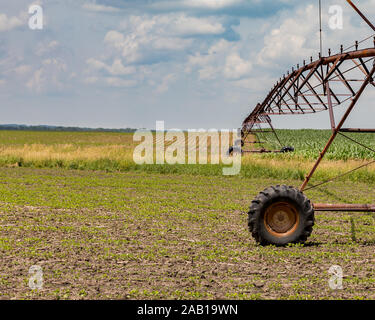 Rostige, alte Drehmittelpunkt Bewässerungssystem erstreckt sich über sanfte Hügel zwischen wachsenden Soja und Mais Feldern. Sonnigen Sommertag mit Wolken Stockfoto