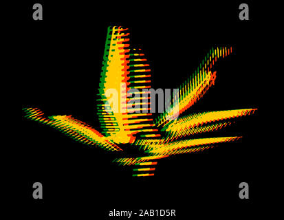 Abstrakte Marihuana Blatt mit Rasta flag Farben auf schwarzem Hintergrund. Cannabispflanze zeichen Abbildung. Stockfoto