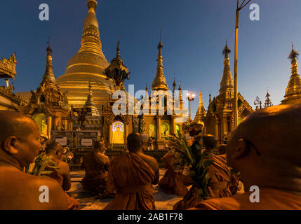 YANGON, MYANMAR - 16. Dezember 2016: Mönche beten am Shwedagon Pagode Yangon (Rangoon) in Myanmar (Burma) Stockfoto