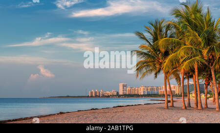 Palmen bei Sonnenaufgang am Ocean Beach, Florida Keys Stockfoto