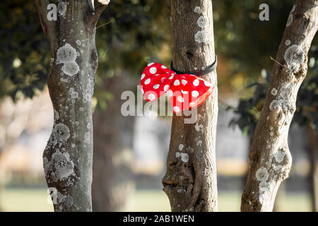 Red Ribbon mit Punkten Bindungen auf einem Baumstamm. Stockfoto