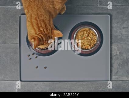 Cat Trockenfutter neben einem Futternapf mit Nassfutter, direkt von oben gesehen. Stockfoto