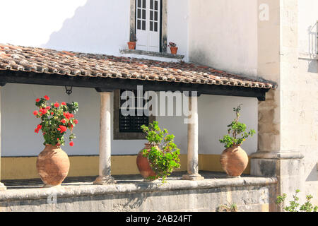 Pflanzen in Tonkrüge auf der Terrasse eines Wohnhauses in der mittelalterlichen Stadt Obidos, Portugal Stockfoto