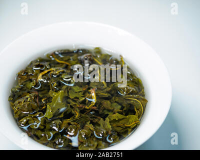 China Green oolong Tee in einer Porzellantasse/gaiwan gegen einen weißen Hintergrund mit Kopie Raum gebraut Stockfoto
