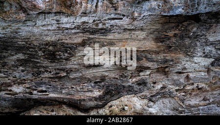 Closeup Textur des verfallenen alten Baum. Detail von altem Holz Textur Hintergrund. Raue Oberfläche des toten Baumstumpf. Verwittertes Holz Material für Stockfoto