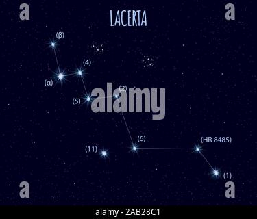 Lacerta (Eidechse) Sternbild, Vector Illustration mit grundlegenden Sterne gegen den Sternenhimmel Stock Vektor