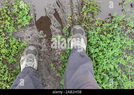 Ansicht von oben auf die Menschen die Füße tragen Sneakers stehend auf Masse vermengt Straße Stockfoto