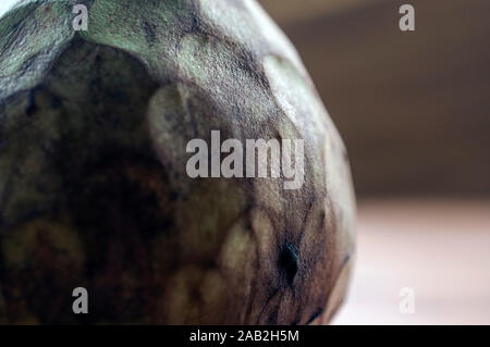 Makroaufnahme der annona Fruit Up-close (Zucker apple, Custard Apple, Cherimoya, Annonaceae Familie). Die süsse tropische Frucht ist eine gute Quelle für Vitamin C Stockfoto