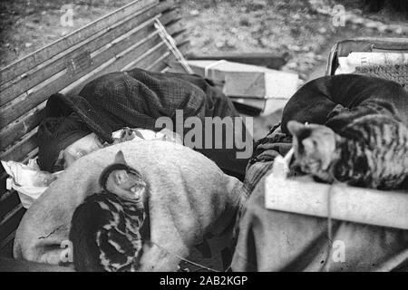 Eine ältere Frau auf einer Parkbank im Hyde Park, der von ihr Besitz und Katzen in den 70er Jahren in London umgeben schlafend, Großbritannien Stockfoto