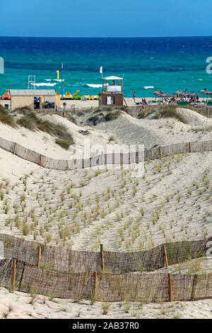 Geschützter Bereich mit dune Grass, mit Zaun umgeben, Conservation Area an der Cala Mesquida, Cala Ratjada, Mallorca, Balearen, Spanien Stockfoto