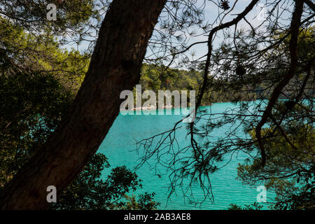 Malo Jezero türkis hell gefärbten Salzwasserseen im Nationalpark auf der Insel Mljet, Kroatien. Mittelmeerküste mit einem Baum und Grün c Stockfoto