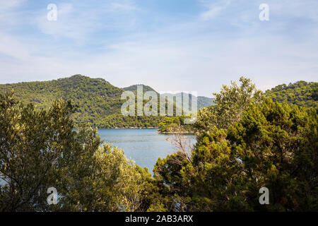 Nationalpark auf der Insel Mljet, Kroatien. Mittelmeerküste mit viel Grün, Kiefern in der Natur schaffen eine heitere Ruhe in Szene. Kleine lak Stockfoto