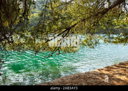 Hängende pinetree auf die kleine Insel St. Maria in Mljet. Die schönen hellen Farben türkis Salz wasser Seen und Nationalpark. Ruhe, und Stockfoto