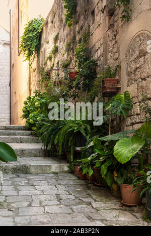 Alte mediterrane Straße mit Treppen in Korcula Stadt. Rauer stein Mauern und Fassaden und viel Grün Pflanzen in Dalmatien, Kroatien. Historischer Ort cr Stockfoto