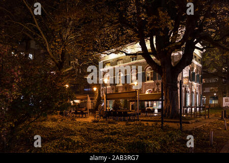 Eindhoven, Niederlande, 7. November 2019. Seitenansicht der Eingang eines Restaurant Het zusje bei Nacht mit verschiedenen Goldenen bunte Lichter, surro Stockfoto