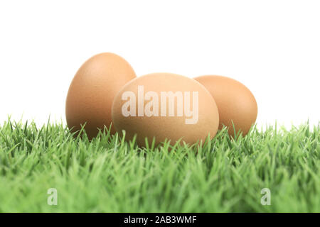 Eier auf Rasen | Eier auf Gras | Stockfoto